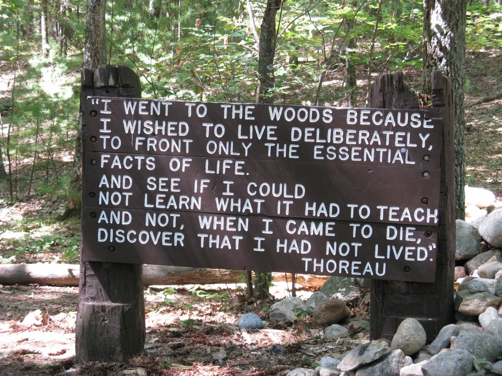 Thoreau's words apply to our daily lives and interactions with digital media.