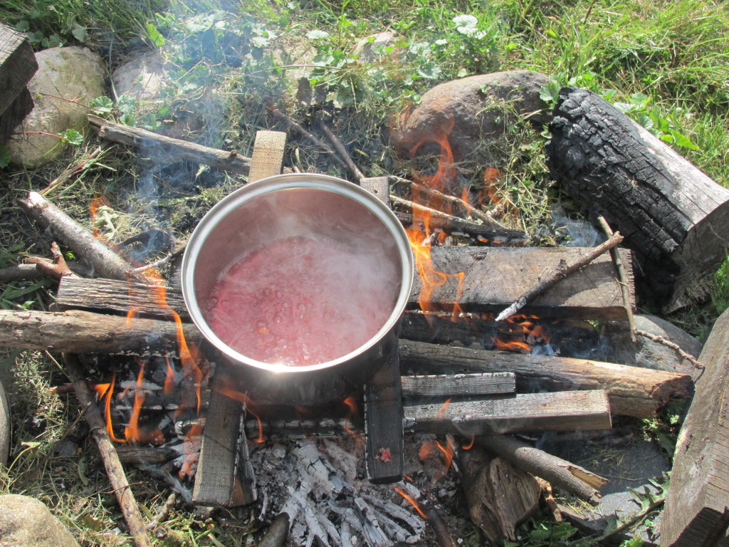 Boiling water and fire - yes, my kids play with both. Here's their raspberry syrup concoction.